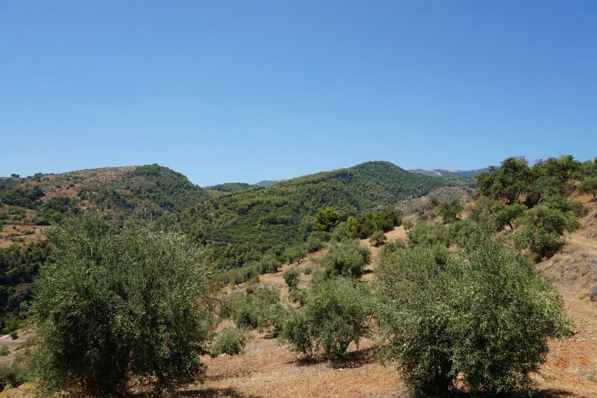 3 chambre Finca/Maison de Campagne à vendre à Yunquera - 280 000 € (Ref: 10128704)