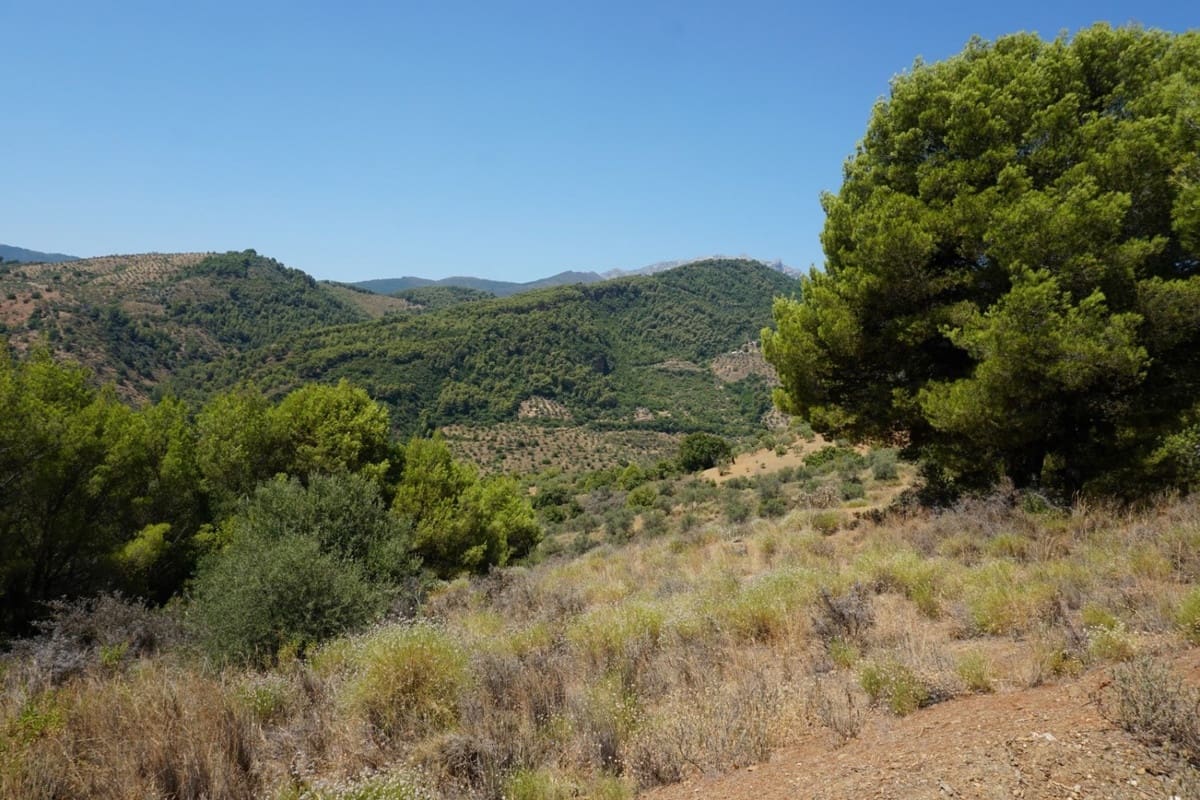 3 chambre Finca/Maison de Campagne à vendre à Yunquera - 280 000 € (Ref: 10128704)