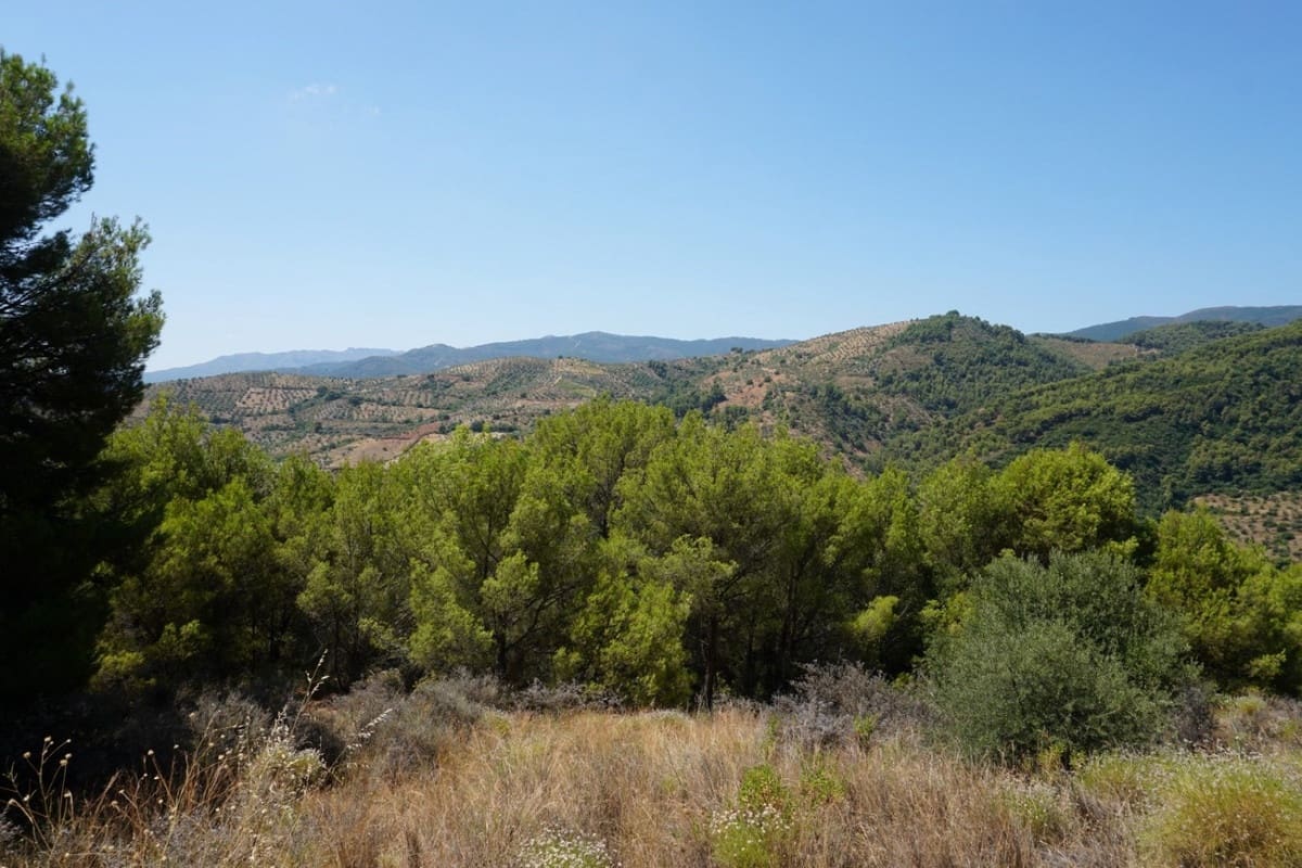 3 chambre Finca/Maison de Campagne à vendre à Yunquera - 280 000 € (Ref: 10128704)