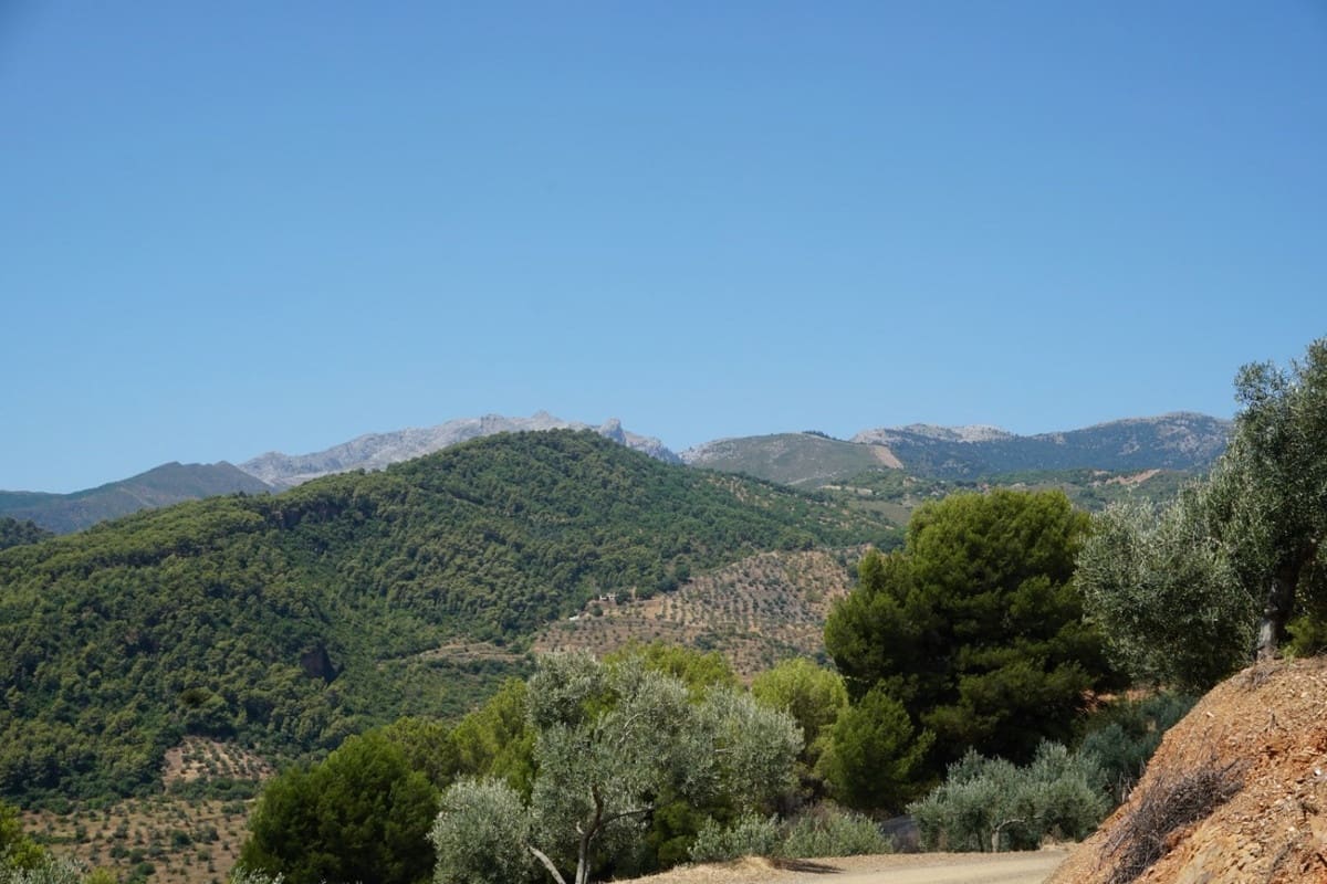 3 chambre Finca/Maison de Campagne à vendre à Yunquera - 280 000 € (Ref: 10128704)
