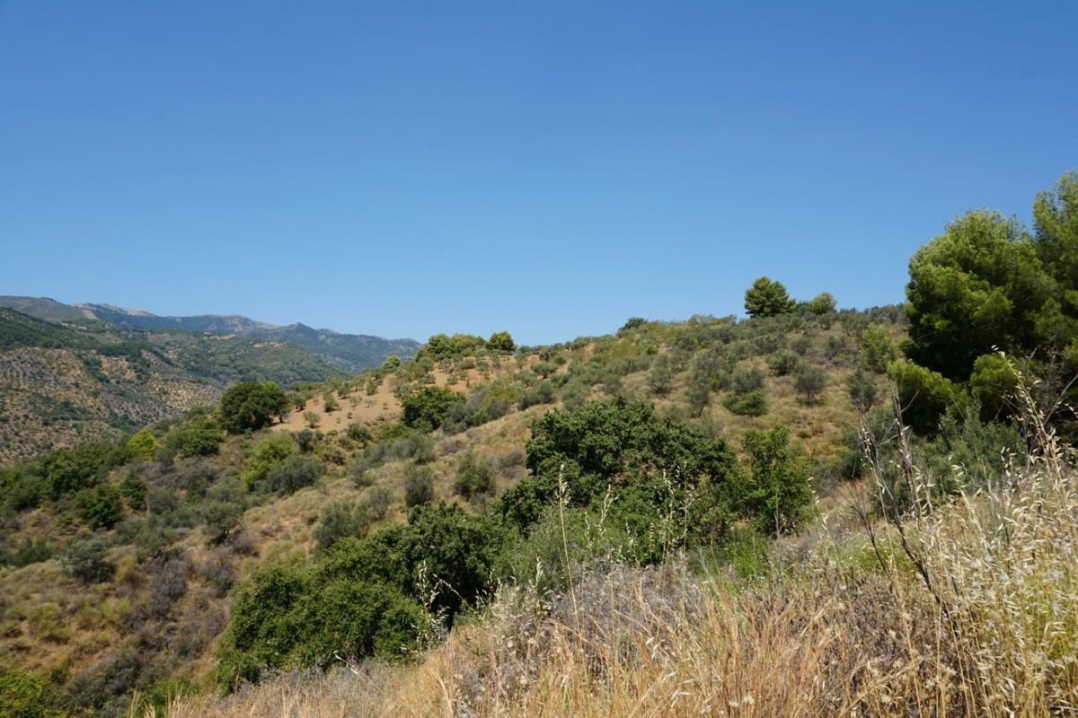 3 chambre Finca/Maison de Campagne à vendre à Yunquera - 280 000 € (Ref: 10128704)