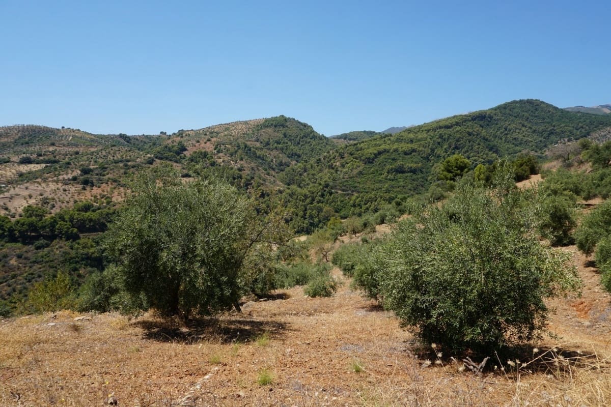 3 chambre Finca/Maison de Campagne à vendre à Yunquera - 280 000 € (Ref: 10128704)