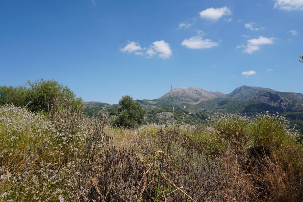 3 chambre Finca/Maison de Campagne à vendre à Yunquera - 280 000 € (Ref: 10128704)