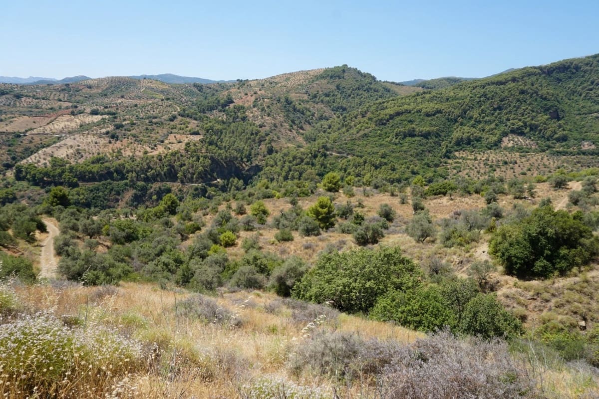 3 chambre Finca/Maison de Campagne à vendre à Yunquera - 280 000 € (Ref: 10128704)