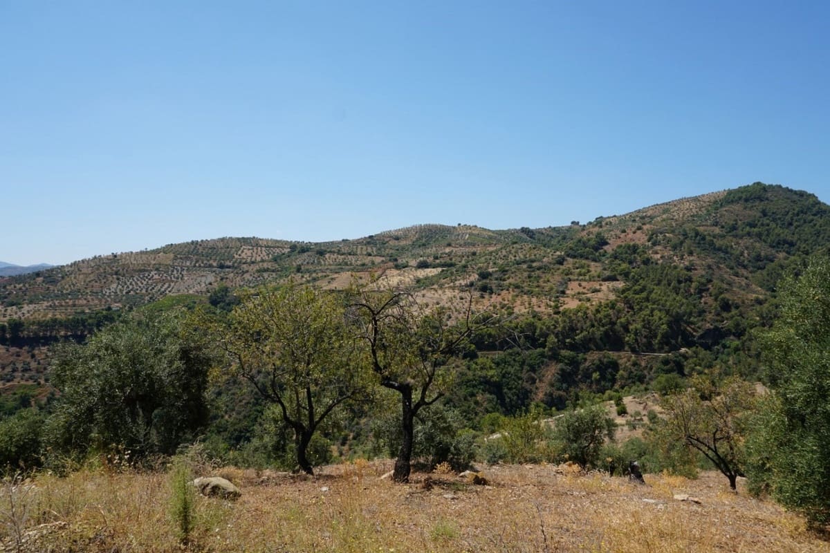 3 chambre Finca/Maison de Campagne à vendre à Yunquera - 280 000 € (Ref: 10128704)