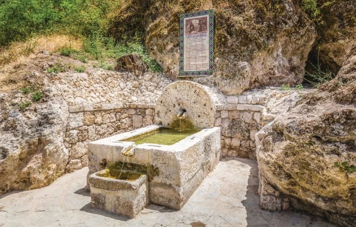 10 sypialnia Finka/Dom wiejski na sprzedaż w Cuevas del Becerro z basenem garażem - 685 000 € (Ref: 10128727)