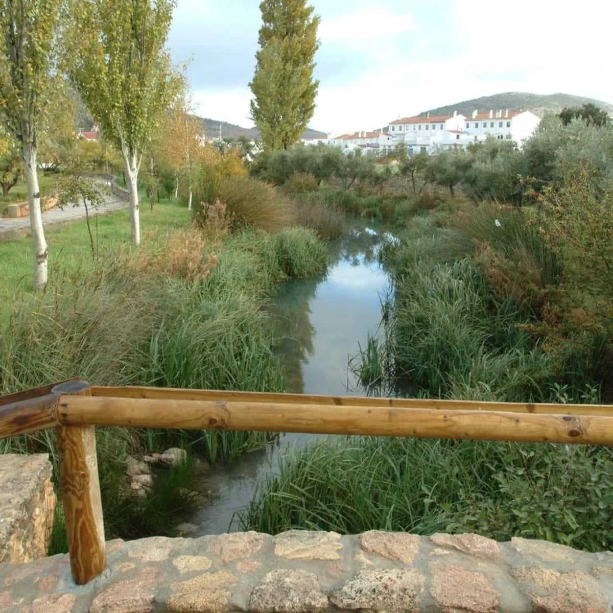 10 sypialnia Finka/Dom wiejski na sprzedaż w Cuevas del Becerro z basenem garażem - 685 000 € (Ref: 10128727)