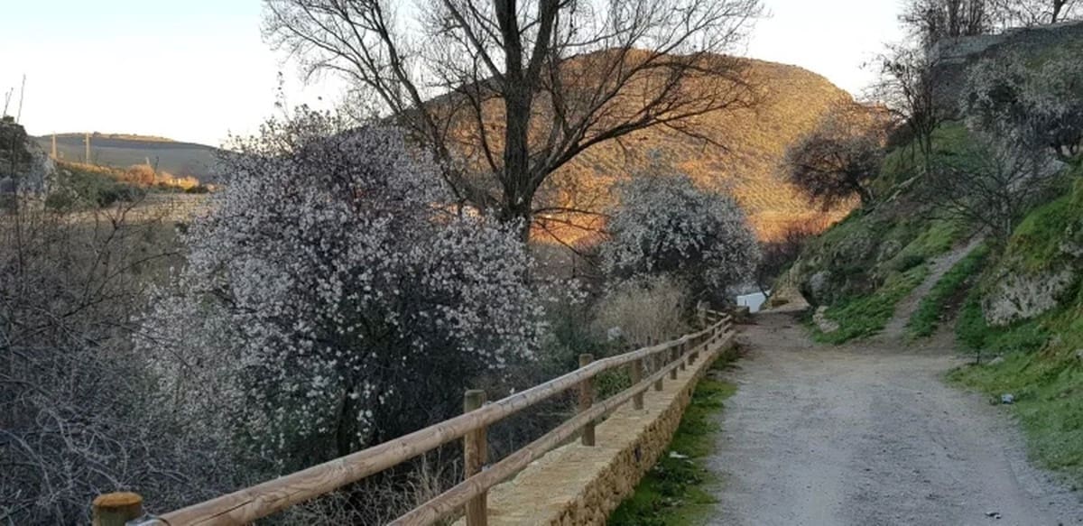 10 sypialnia Finka/Dom wiejski na sprzedaż w Cuevas del Becerro z basenem garażem - 685 000 € (Ref: 10128727)