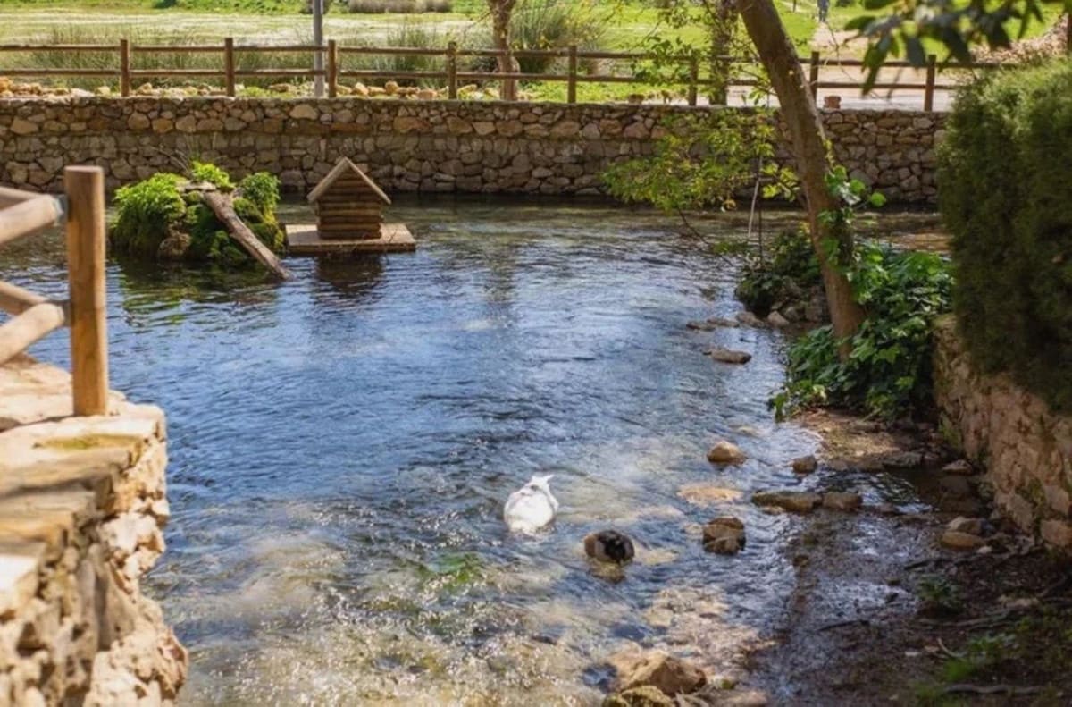 10 sypialnia Finka/Dom wiejski na sprzedaż w Cuevas del Becerro z basenem garażem - 685 000 € (Ref: 10128727)