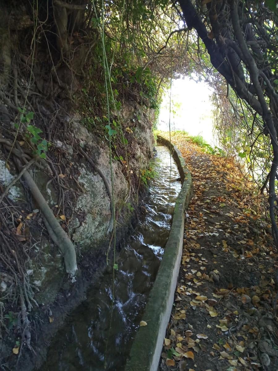 10 sypialnia Finka/Dom wiejski na sprzedaż w Cuevas del Becerro z basenem garażem - 685 000 € (Ref: 10128727)
