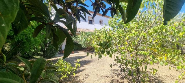 4 quarto Moradia para venda em Cortes de la Frontera - 230 000 € (Ref: 10128738)