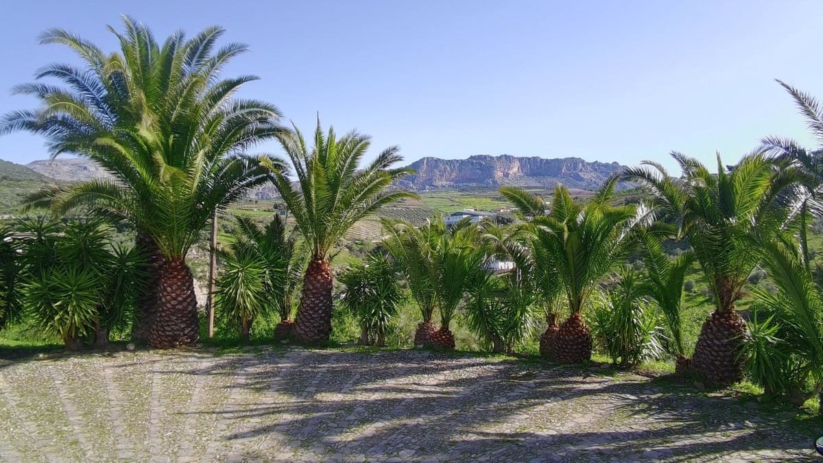 5 chambre Finca/Maison de Campagne à vendre à Villanueva de la Concepcion avec piscine garage - 799 000 € (Ref: 10128745)