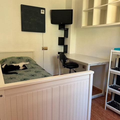Bungalow de 3 habitaciones en Los Europeos, Torrevieja en venta con garaje - 264.000 € (Ref: 10128970)
