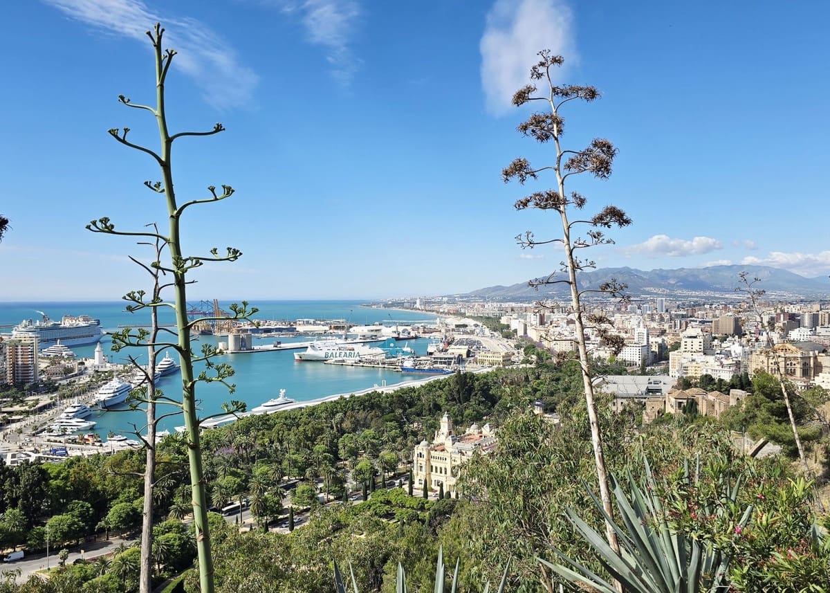 Apartamento de 3 habitaciones en Málaga ciudad en venta con garaje - 649.900 € (Ref: 10133947)