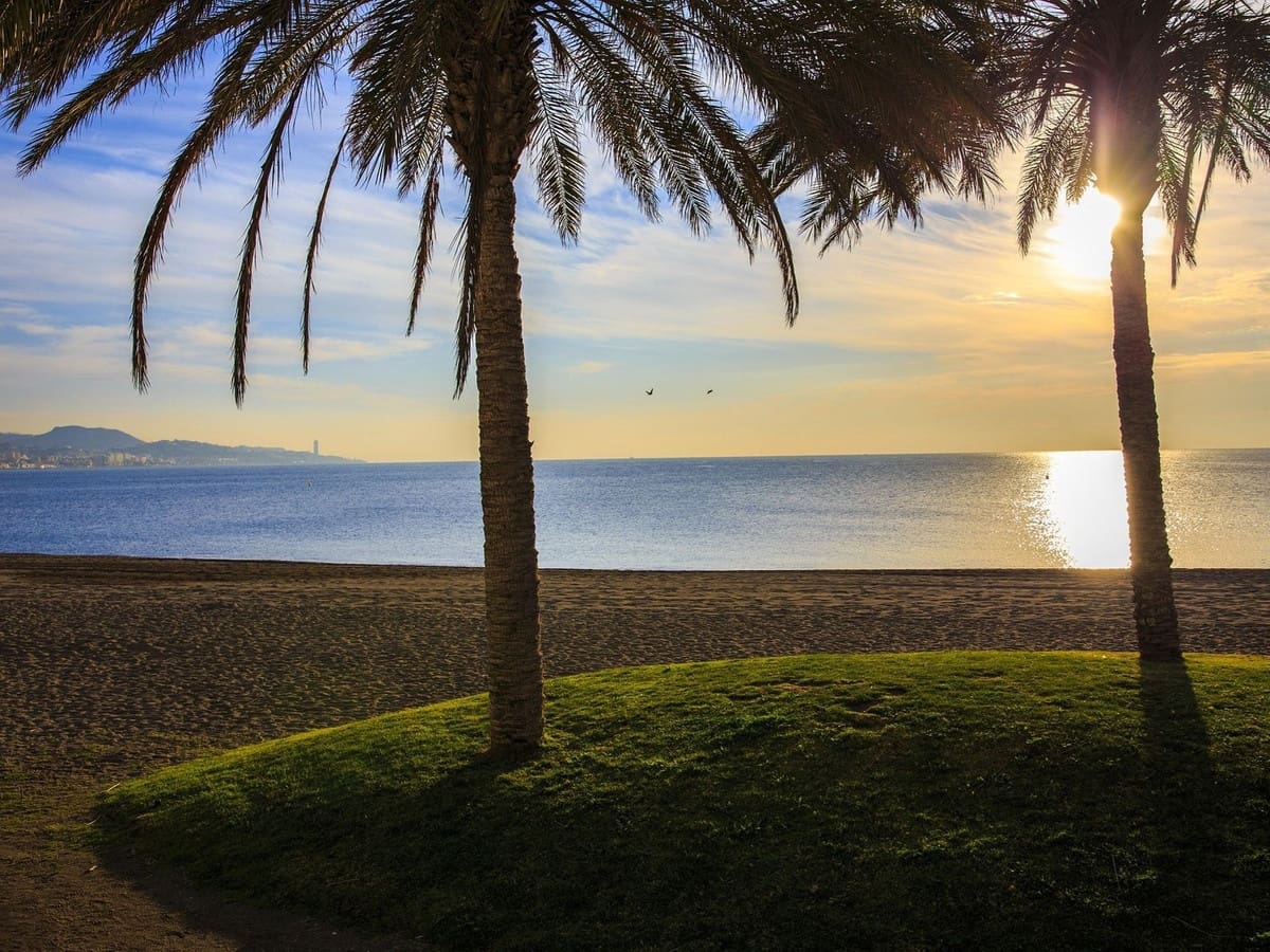 Apartamento de 3 habitaciones en Málaga ciudad en venta con garaje - 649.900 € (Ref: 10133947)
