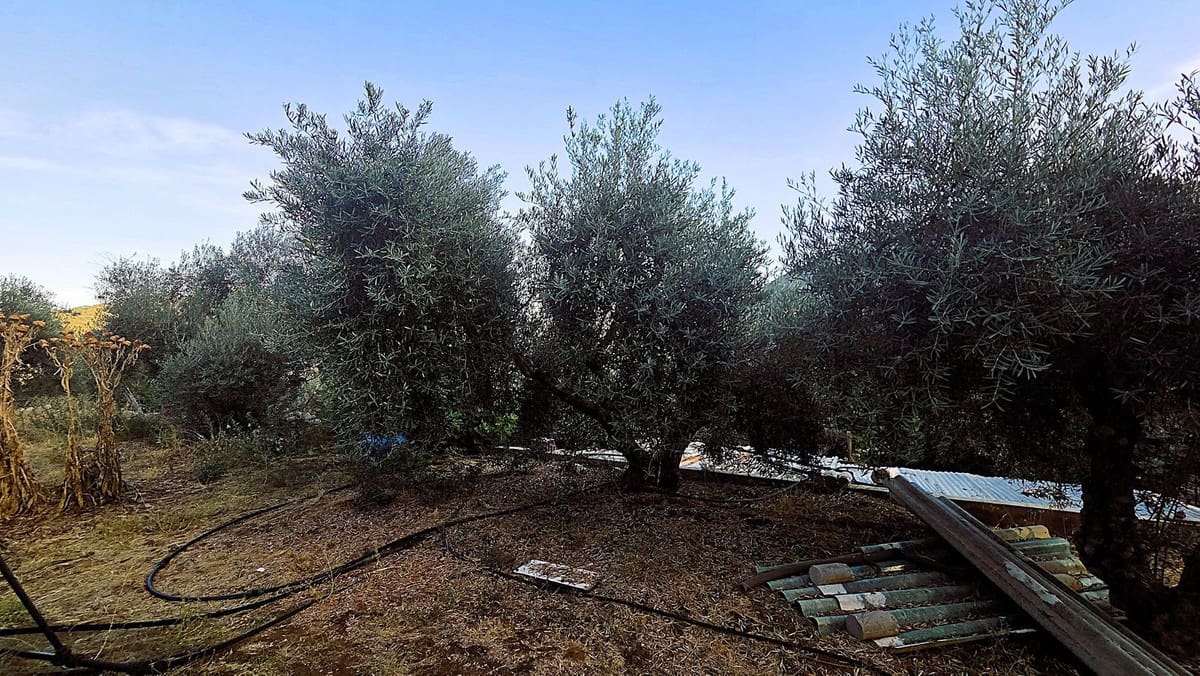 Finca/Casa Rural de 4 habitaciones en Ojen en venta con piscina garaje - 540.000 € (Ref: 10134345)