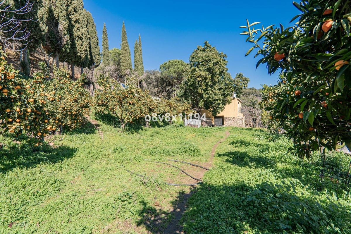 5 bedroom Finca/Country House for sale in Jubrique with pool - € 995,000 (Ref: 10140601)
