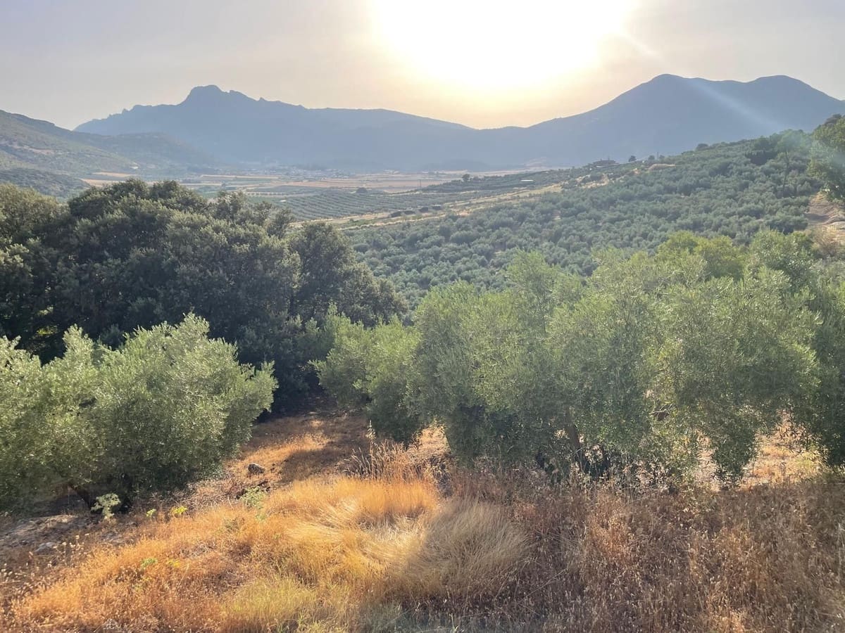 3 camera da letto Finca/Casa di Campagna in vendita in Alfarnate con garage - 380.000 € (Rif: 10141018)