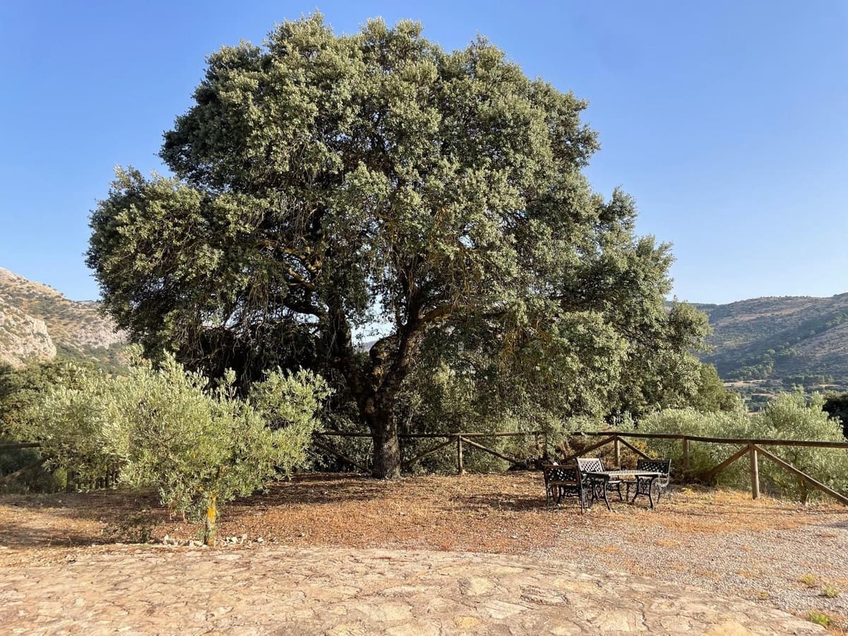 3 camera da letto Finca/Casa di Campagna in vendita in Alfarnate con garage - 380.000 € (Rif: 10141018)