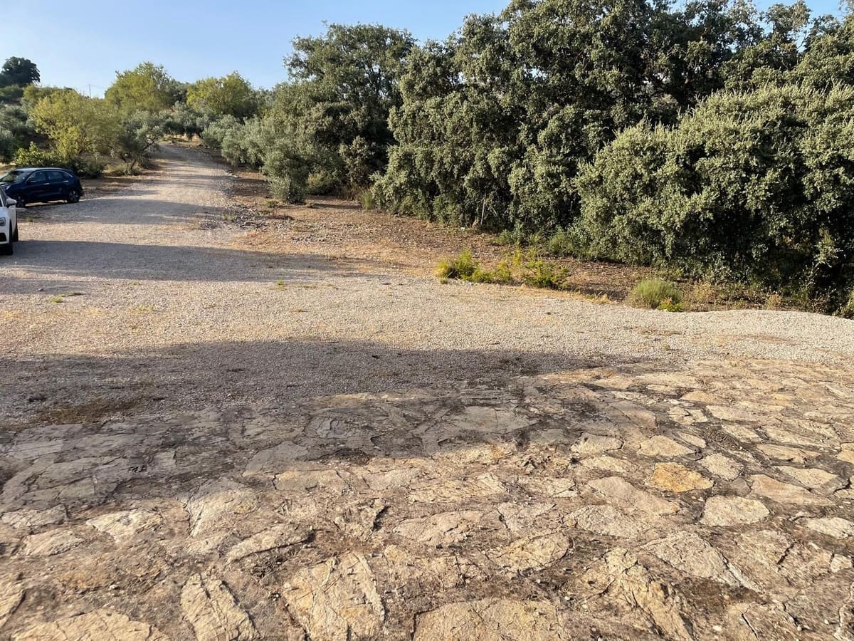3 camera da letto Finca/Casa di Campagna in vendita in Alfarnate con garage - 380.000 € (Rif: 10141018)
