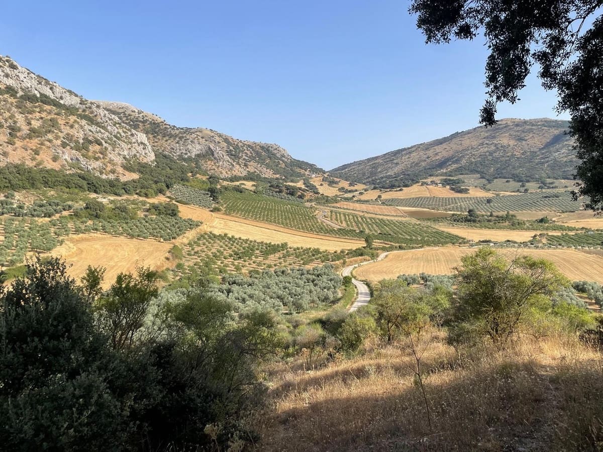 3 camera da letto Finca/Casa di Campagna in vendita in Alfarnate con garage - 380.000 € (Rif: 10141018)