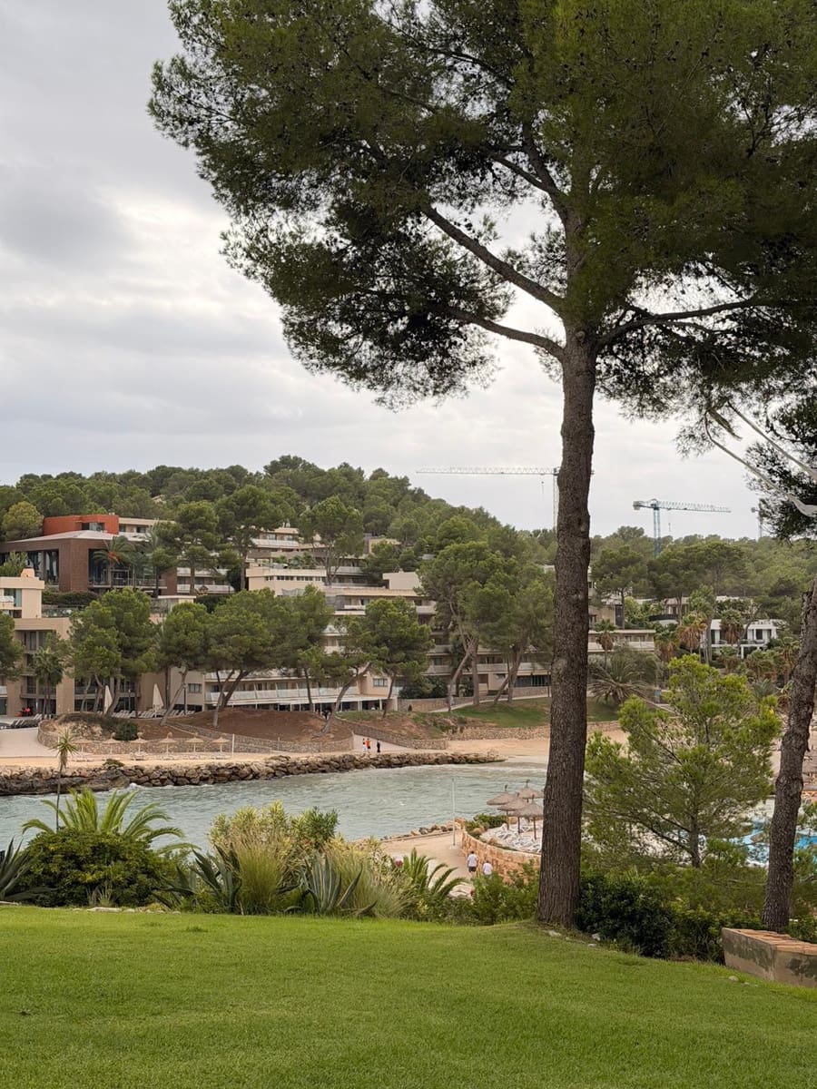 Apartamento de 2 habitaciones en Calvià en venta con piscina - 550.000 € (Ref: 10142936)
