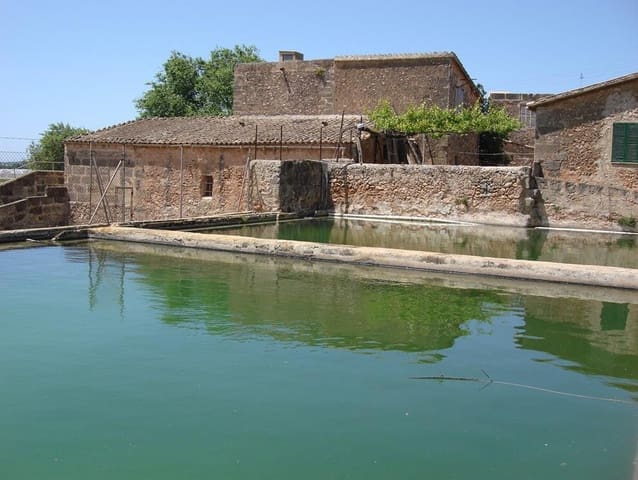 5 soverom Finca/Herregård til salgs i Zona Portuaria, Palma de Mallorca med garasje - € 2 650 000 (Ref: 10142971)