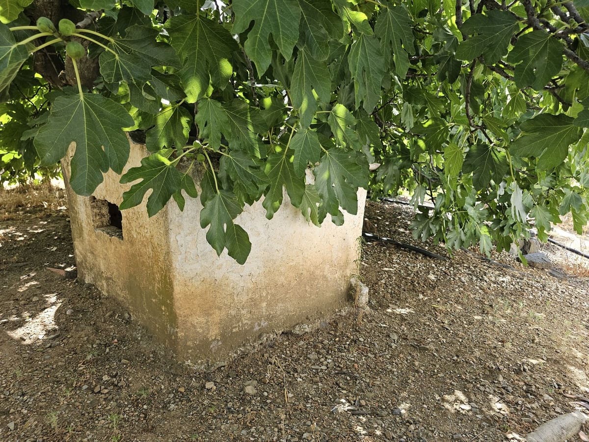 3 chambre Finca/Maison de Campagne à vendre à Sedella avec piscine garage - 355 000 € (Ref: 10143474)