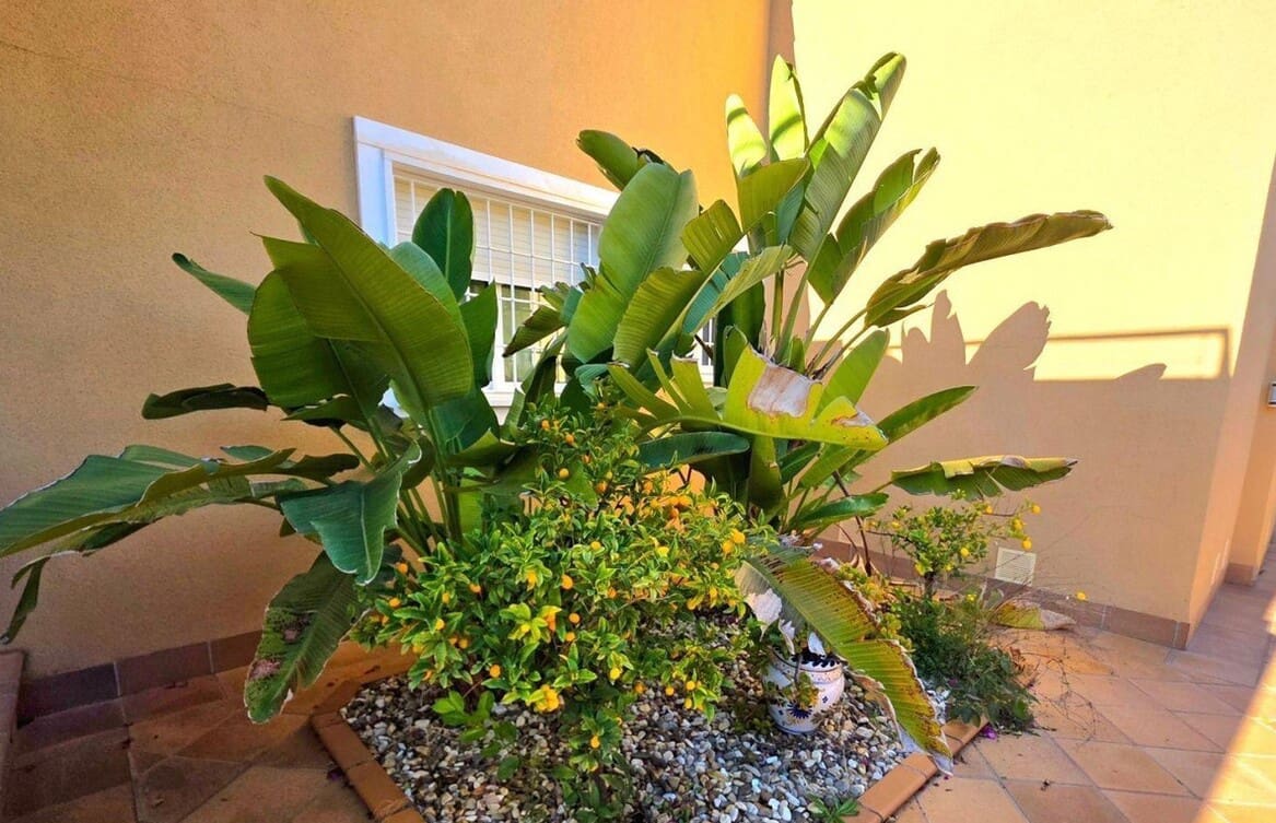 5 bedroom Villa for sale in Campoamor with pool garage - € 739,000 (Ref: 10143699)
