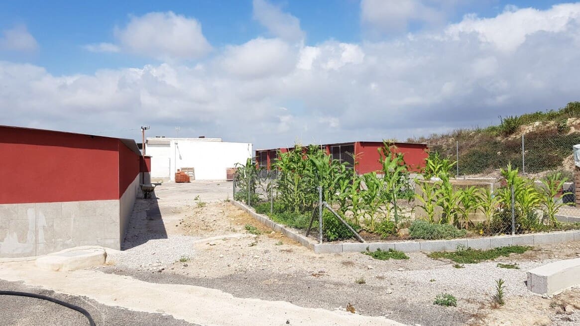 2 bedroom Finca/Country House for sale in Los Montesinos with garage - € 380,000 (Ref: 10143769)