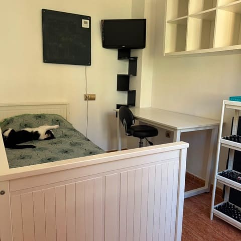3 camera da letto Bungalow in vendita in Los Europeos, Torrevieja con garage - 264.000 € (Rif: 10144287)