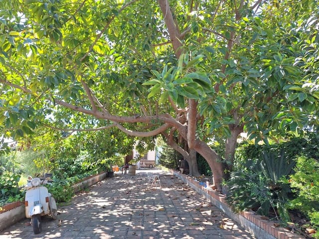 3 makuuhuone Maalaistalo myytävänä paikassa Los Llanos, Estepona - 749 000 € (Ref: 10147552)