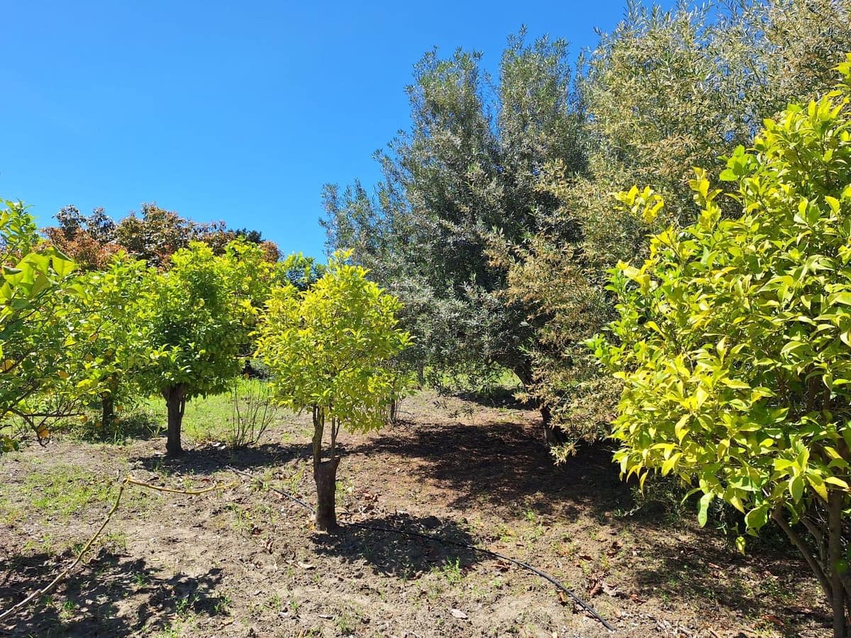 3 soveværelse Finca/Landehus til salg i Estepona med swimmingpool garage - € 749.000 (Ref: 10147552)