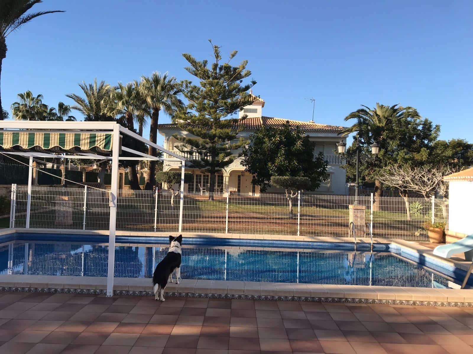 7 camera da letto Villa in vendita in Orihuela Costa con piscina - 1.490.000 € (Rif: 10149957)