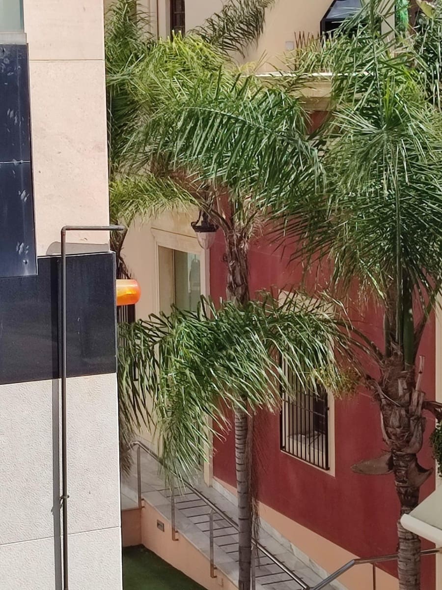 4 chambre Appartement à vendre à Orihuela - 279 000 € (Ref: 10156592)