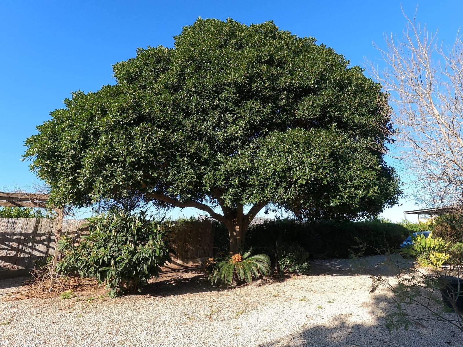 3 quarto Quinta/Casa Rural para venda em Orihuela com piscina garagem - 350 000 € (Ref: 10157534)