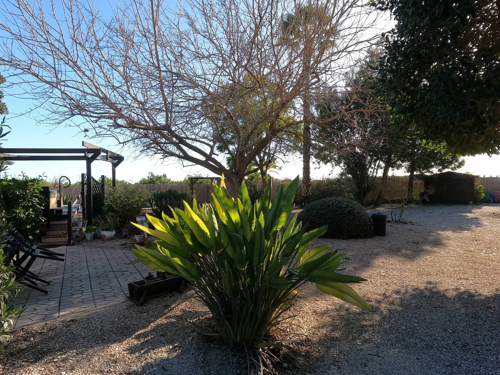 3 quarto Quinta/Casa Rural para venda em Orihuela com piscina garagem - 350 000 € (Ref: 10157534)