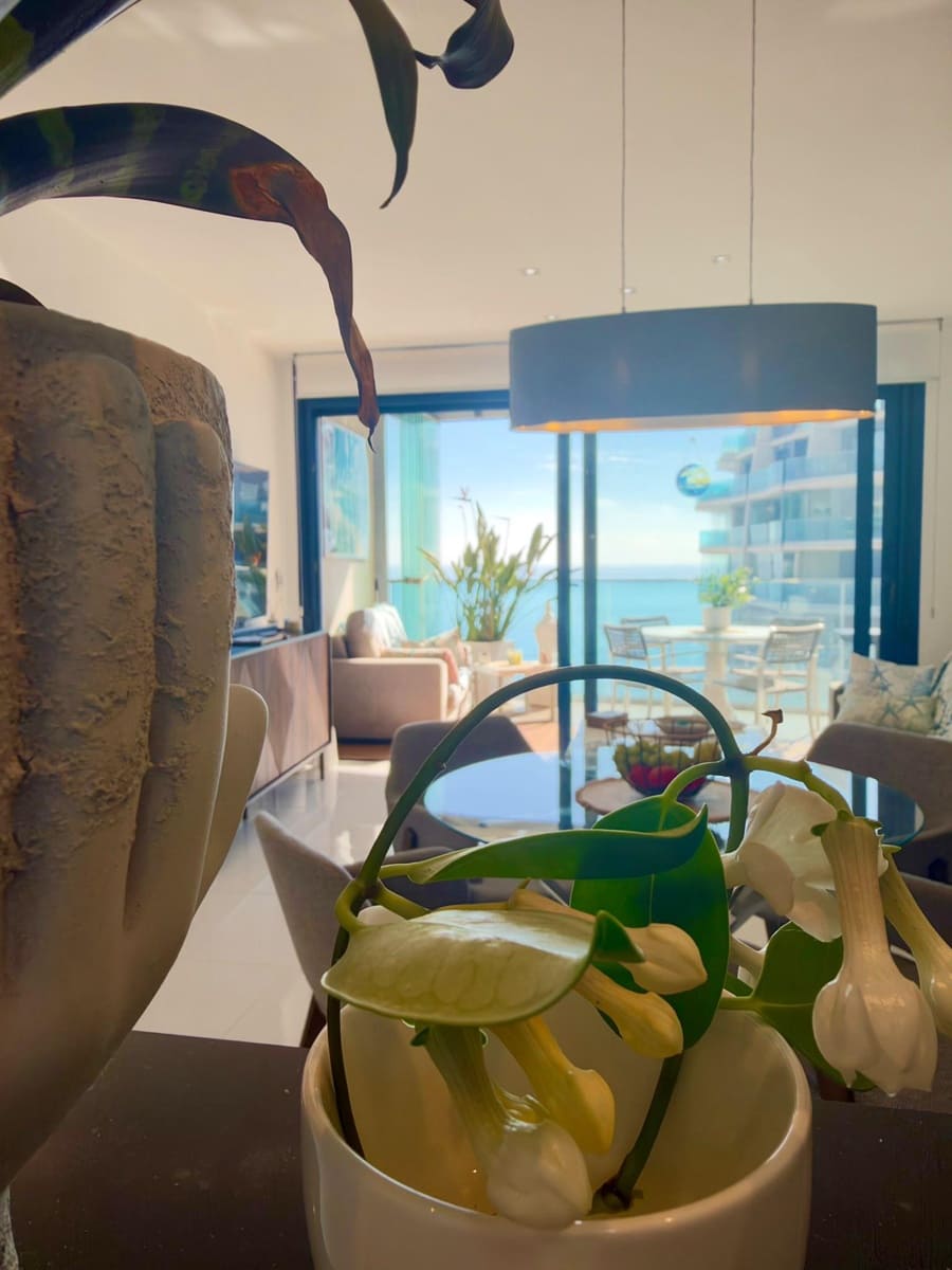 Apartamento Playa de 2 habitaciones en Punta Prima en venta con piscina - 509.990 € (Ref: 10162886)