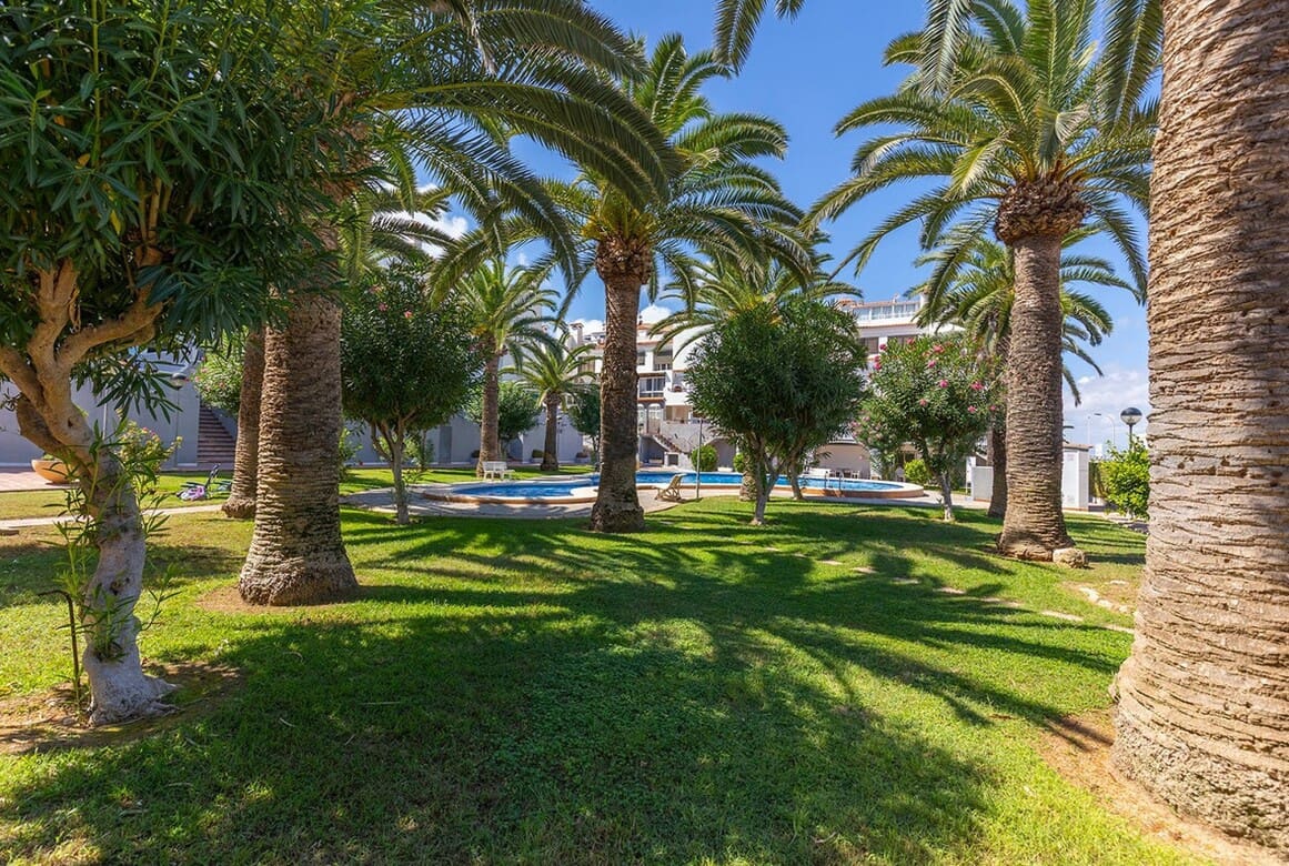 1 soveværelse Lejlighed til salg i La Mata med swimmingpool - € 169.500 (Ref: 10172542)