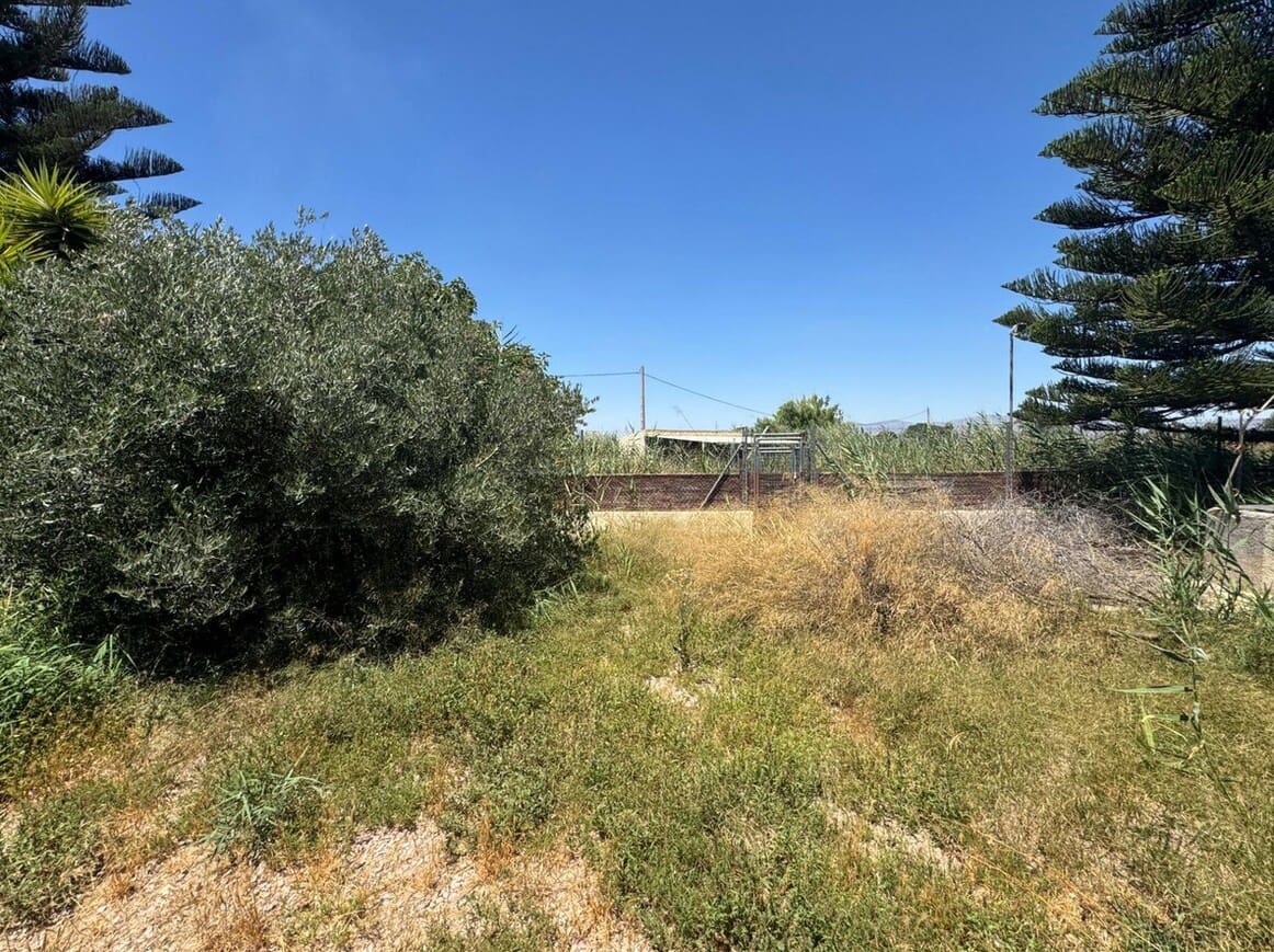 5 soverom Finca/Herregård til salgs i Dolores med svømmebasseng garasje - € 375 000 (Ref: 10172620)