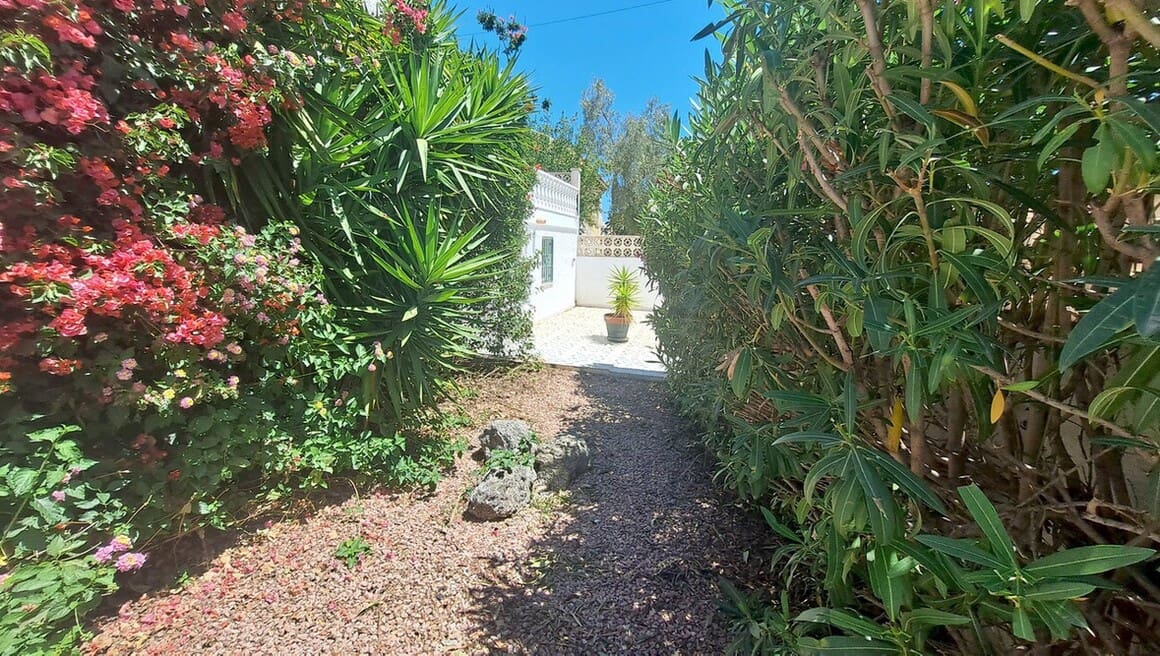 3 Zimmer Villa zu verkaufen in San Miguel de Salinas mit Pool Garage - 350.000 € (Ref: 10172649)