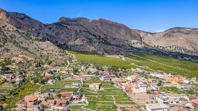 Finca/Casa Rural de 7 habitaciones en Orihuela ciudad, Orihuela en venta - 850.000 € (Ref: 10172658)