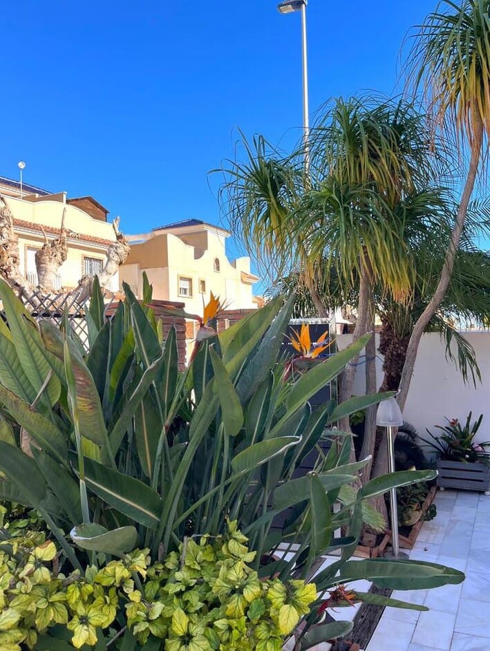 4 bedroom Semi-detached Villa for sale in Torre de la Horadada with garage - € 430,000 (Ref: 10172659)