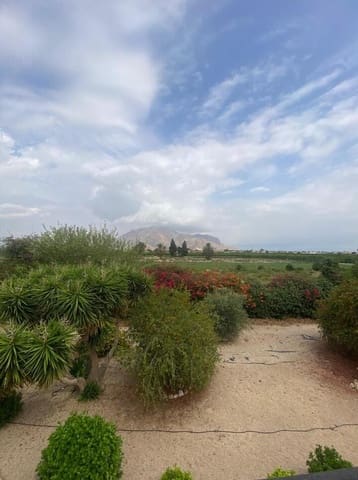 Finca/Casa Rural de 4 habitaciones en Orihuela ciudad, Orihuela en venta con piscina garaje - 750.000 € (Ref: 10172673)