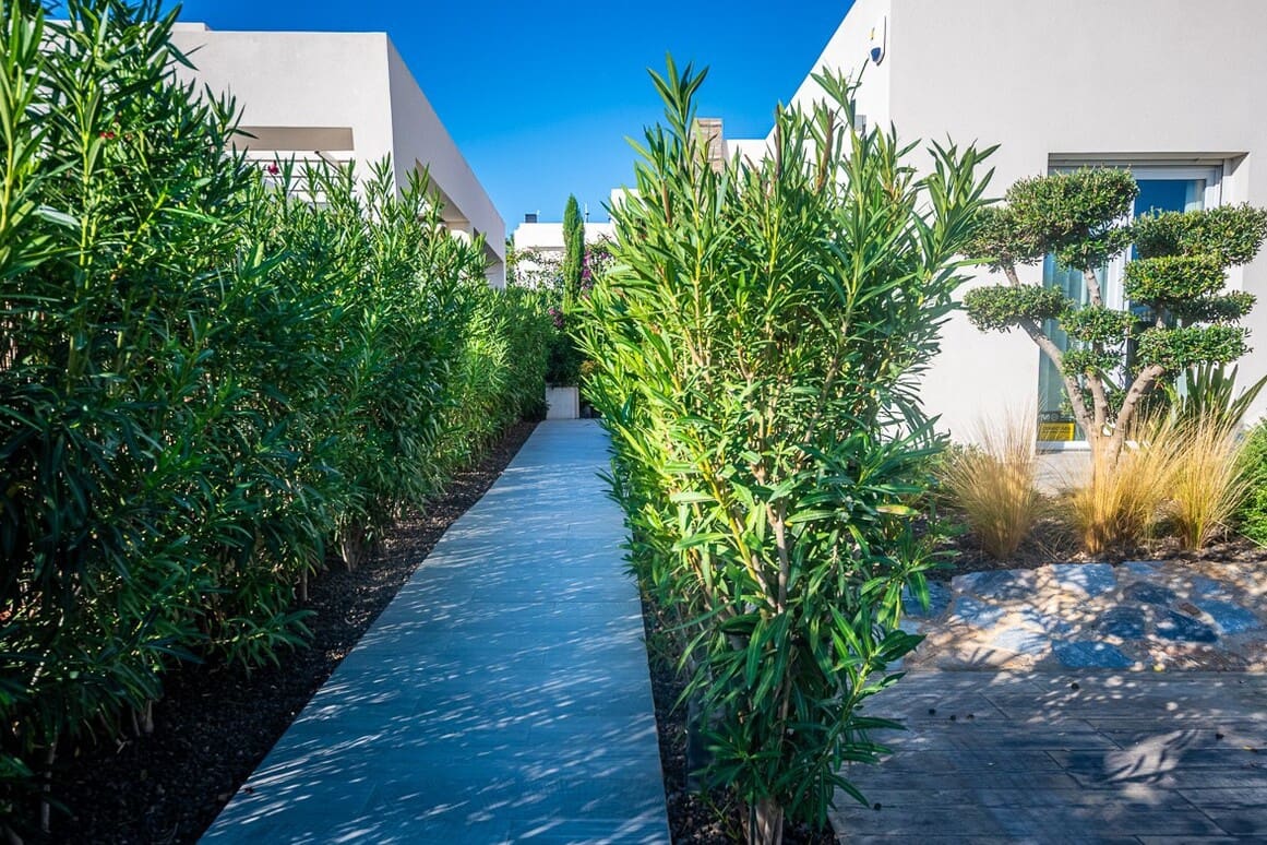 2 slaapkamer Villa te koop in Algorfa met zwembad garage - € 610.000 (Ref: 10172684)