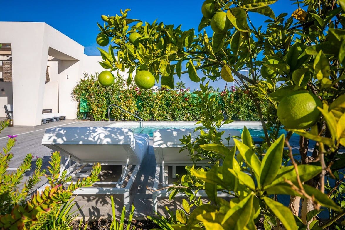 2 slaapkamer Villa te koop in Algorfa met zwembad garage - € 610.000 (Ref: 10172684)