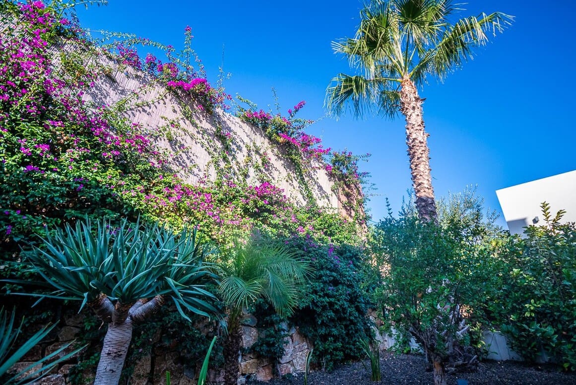 2 slaapkamer Villa te koop in Algorfa met zwembad garage - € 610.000 (Ref: 10172684)