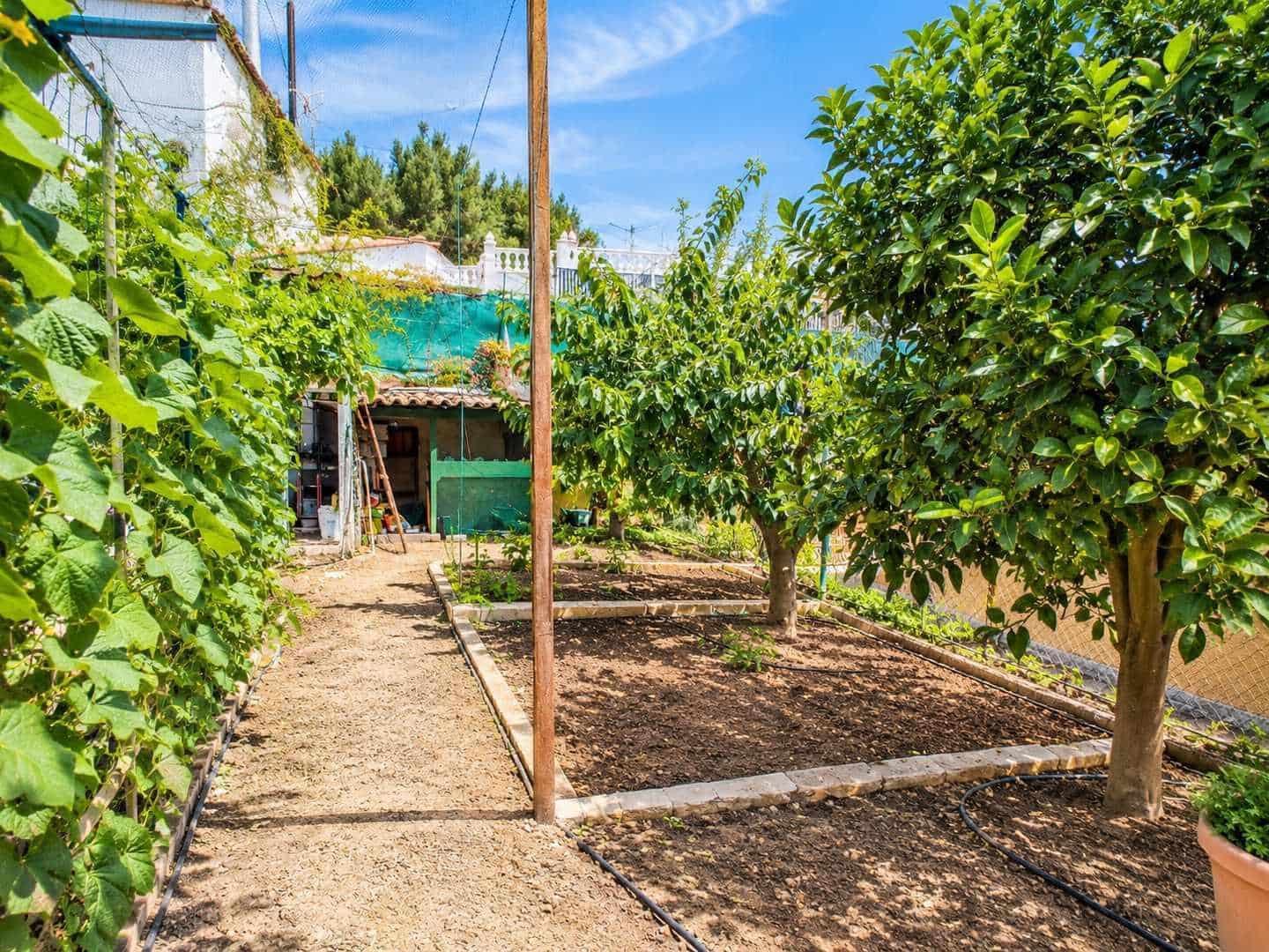 3 slaapkamer Villa te koop in San Miguel de Salinas met zwembad garage - € 369.000 (Ref: 10176964)