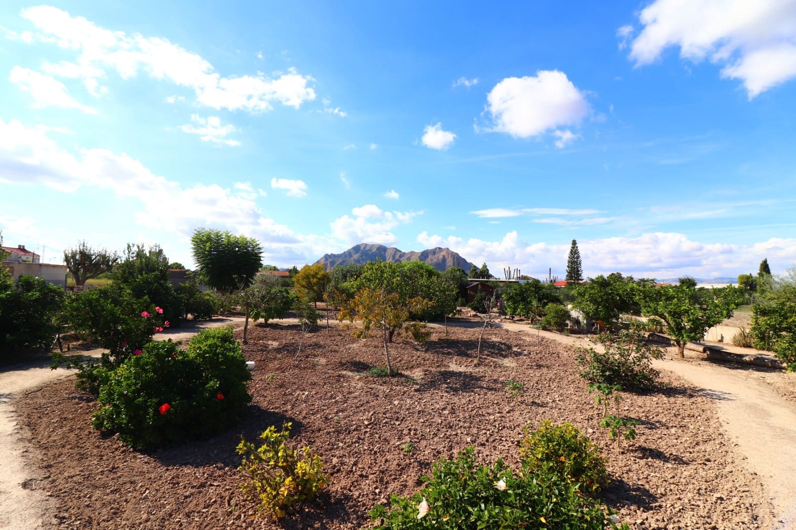 Finca/Casa Rural de 3 habitaciones en Rafal en venta con piscina garaje - 375.000 € (Ref: 10180383)