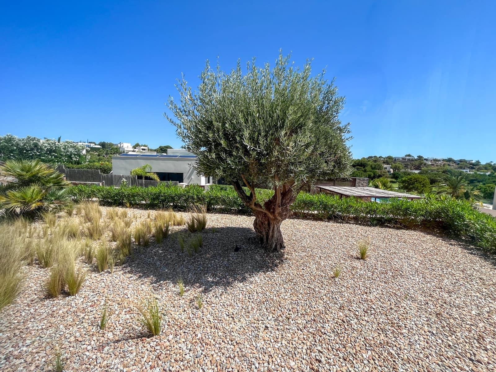 3 slaapkamer Villa te koop in Las Colinas Golf met zwembad garage - € 1.490.000 (Ref: 10183409)